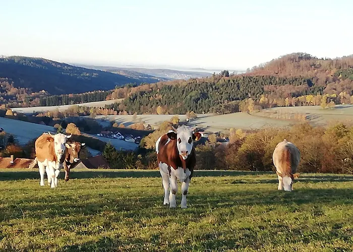 Haus Edith Апартаменты